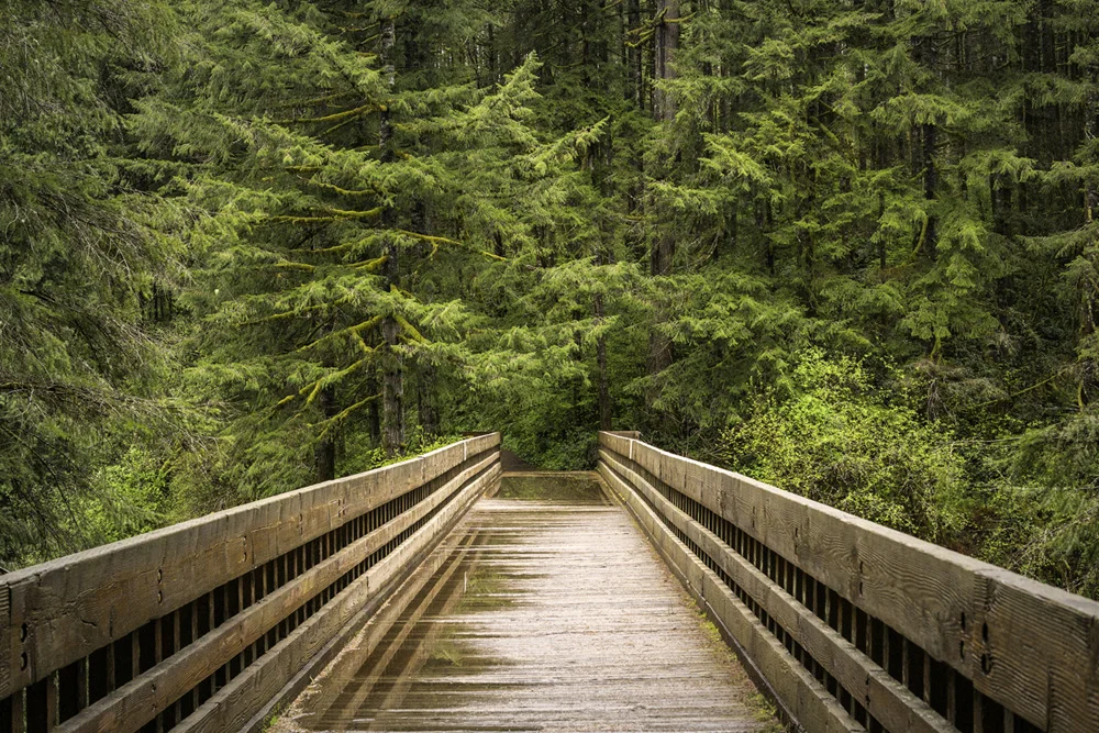 Pacific northwest samsungnx30 mirrorless