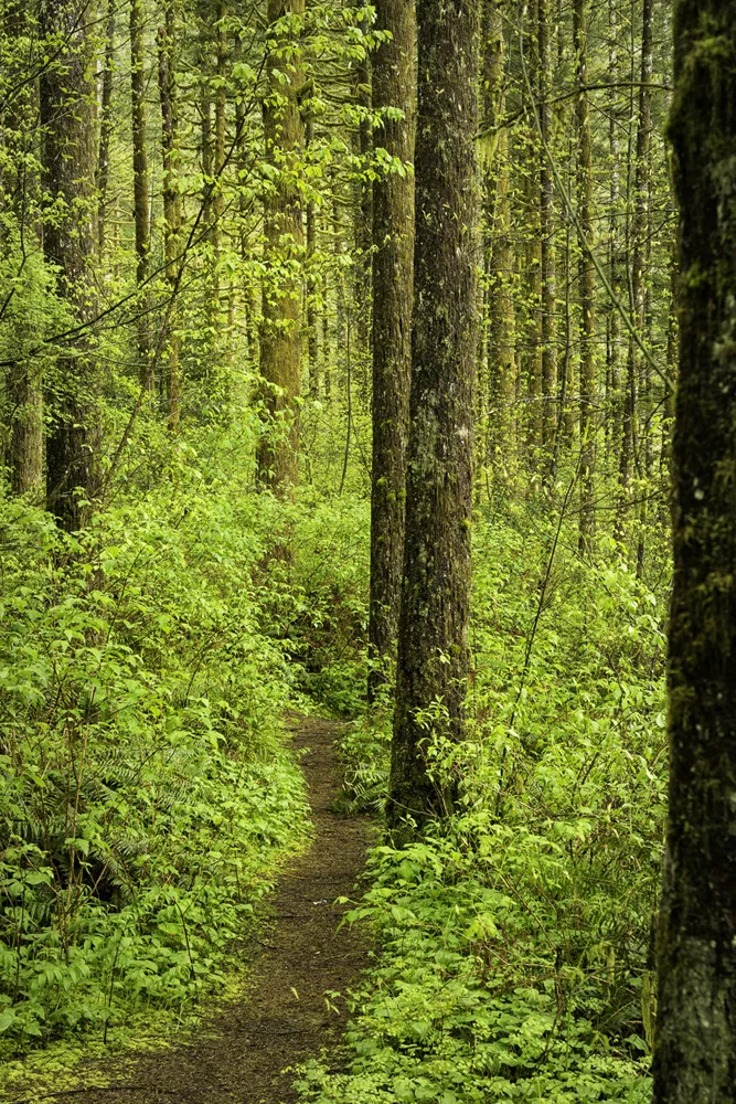 Pacific northwest samsungnx30 mirrorless